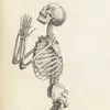 radiograher_girl