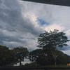 frann_fcc