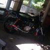 h.flores39