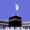sherif_mohamed41