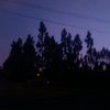 wxferqui_