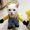 katiad96