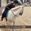 nico_emme_equestrian