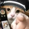 doshi_dd