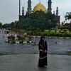 ashifa486