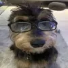 piotruskoks69
