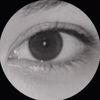 nntsrhy_