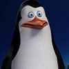 kowalski._._10