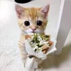 _thanhtra202