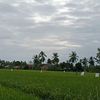 sriyuslinasari