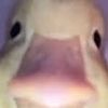 00000100000_1