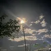 odaycotamtrang66