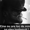 catalinneacsu03