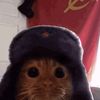 megagiga_cat