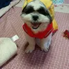 makosan04