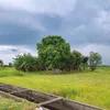 yokokuramasuichiminamino