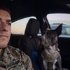 bigvato_386