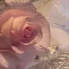 gemmaloarces