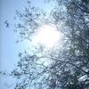 gabriela_cyg