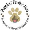 puppies_protection
