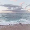 marinacid28