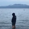 pulet.nga