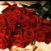 ahmedadnan5440