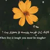 awesar3