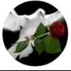 abomhmd789