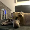 chloelouisebailey