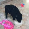 deliciosoycaseroqueso