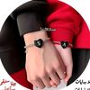 aml.elzeiny