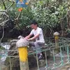 lovangiangls