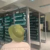 congminh393