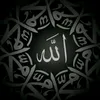 ahmadhamzi38