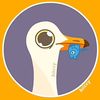 rightsock_05