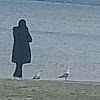 sinop5739