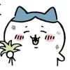 t4iga2