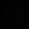diandra_acc