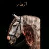 azhar_froukh