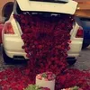 orzahra232