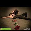 641297absy