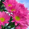 azenethvillaflorgalang