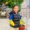 ranjitatamang50