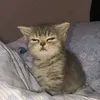 putitq838388jsjnsnnn