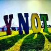 ynot_002