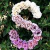 sehamibrahim123