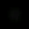 fchwpo31