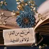 mohammednour22