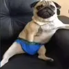 m0deliruyu